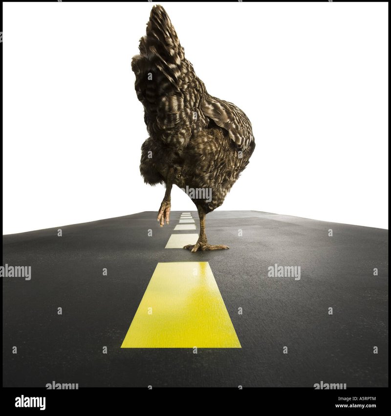 Best chicken road 2 demo in Spain