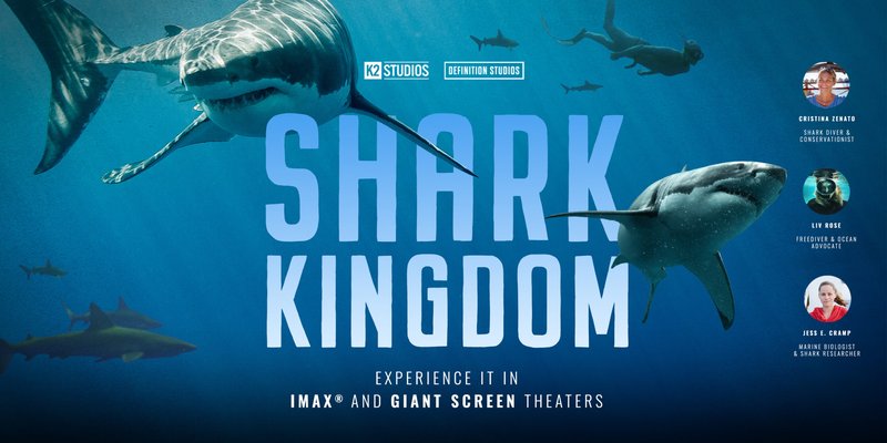 Shark admiral, admiral shark reviews